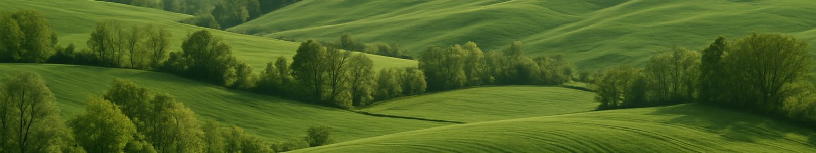 zelena krajina